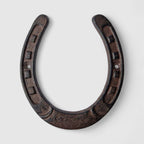 Large Horseshoe Wall Plaque, Cast Iron Western Ranch Decor, 6.3"