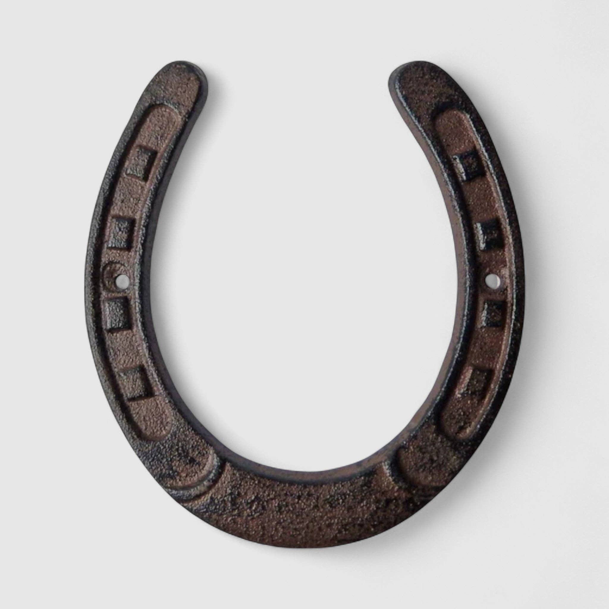 Large Horseshoe Wall Plaque, Cast Iron Western Ranch Decor, 6.3"