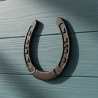 Large Horseshoe Wall Plaque, Cast Iron Western Ranch Decor, 6.3"