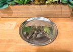 Aluminum 5 inch drink coaster smooth mirror finish, western barware home decor in stock lifestyle