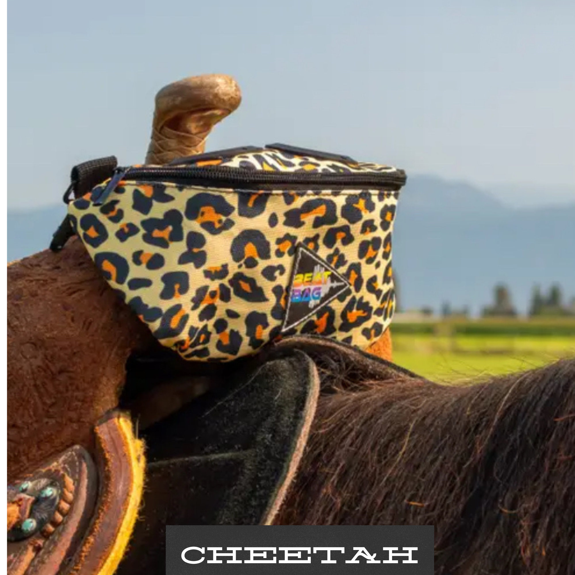 BEAT BAGS SADDLE HORN BLUE TOOTH SPEAKER